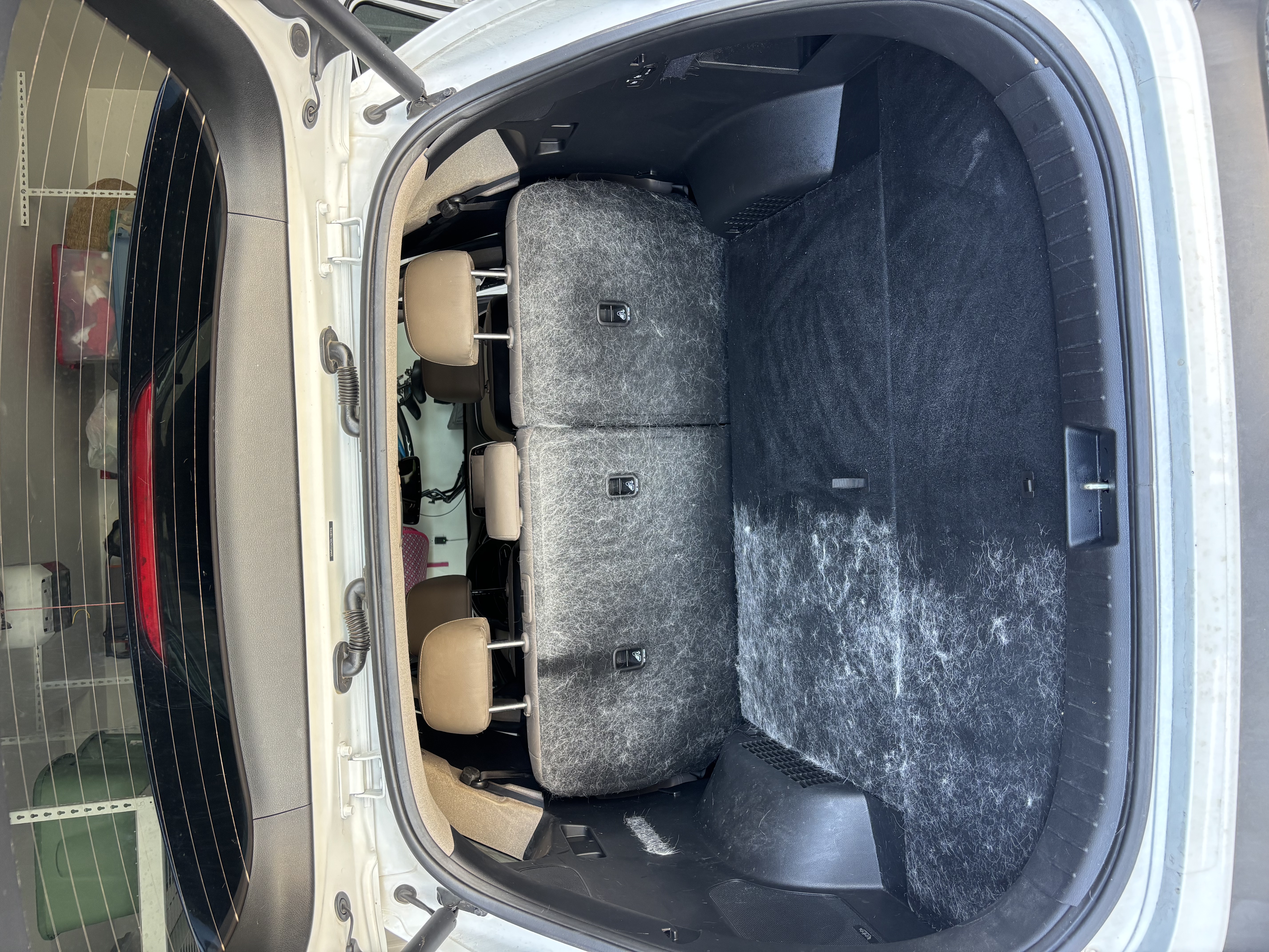 Pet hair removal from vehicle